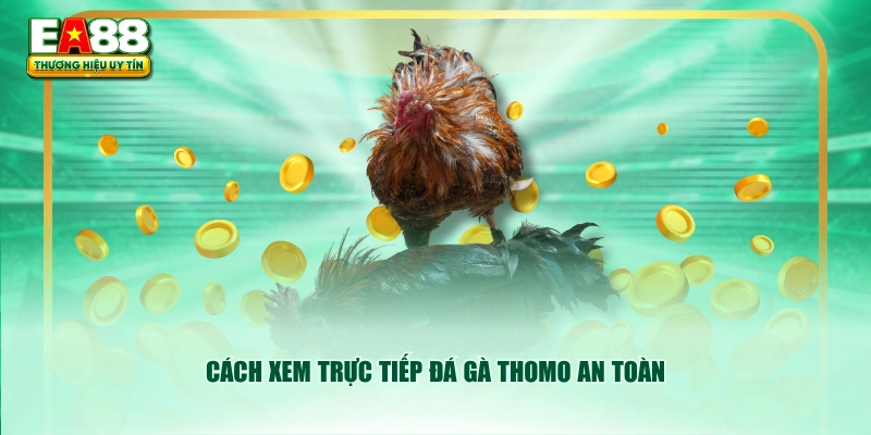 Cách xem trực tiếp đá gà Thomo an toàn